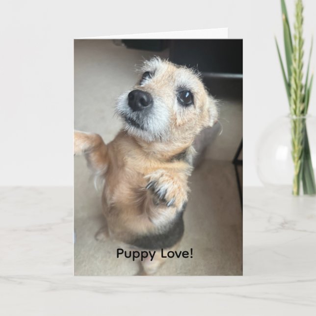 Tarjeta de felicitación de amor de cachorro (Anverso)