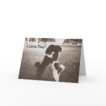 Tarjeta de felicitación de amor de pipa