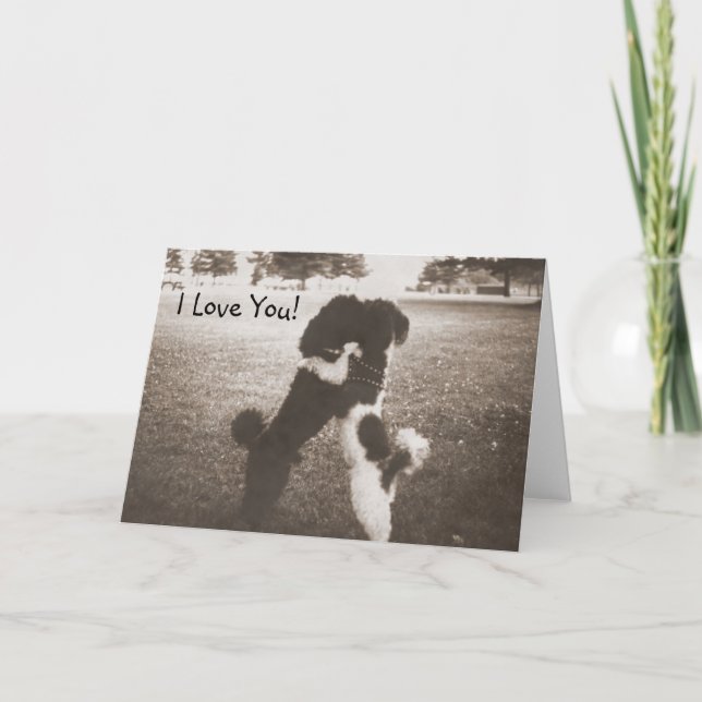 Tarjeta de felicitación de amor de pipa (Anverso)