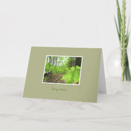 Tarjeta de felicitación de ánimo "La primavera ha 