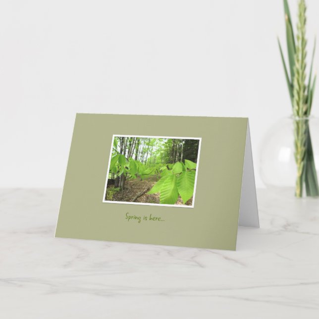 Tarjeta de felicitación de ánimo "La primavera ha  (Anverso)