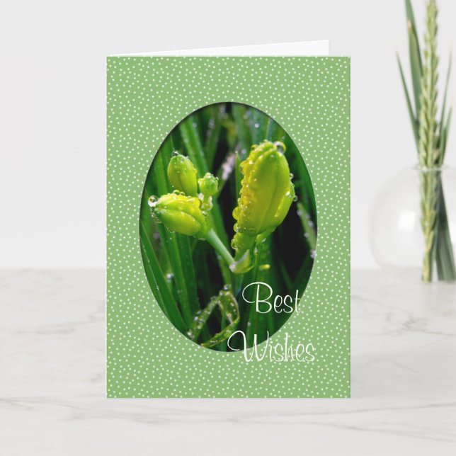 Tarjeta de felicitación de Año Nuevo (Anverso)