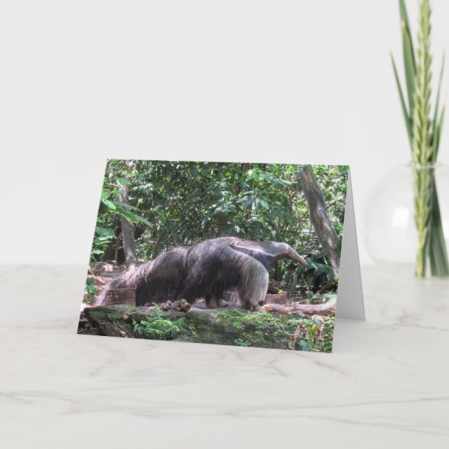 Tarjeta de felicitación de Anteater (Anverso)