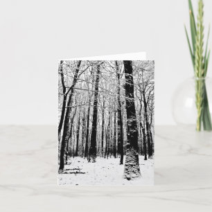 Tarjeta de felicitación de árboles en invierno