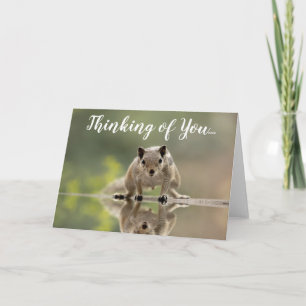 Tarjeta de felicitación de ardilla linda pensando