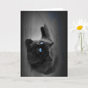 Tarjeta de felicitación de arte de gato con ojos a