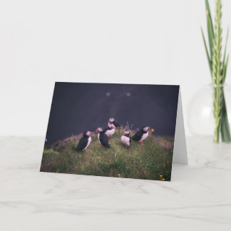 Tarjeta de felicitación de Atlantic Puffins