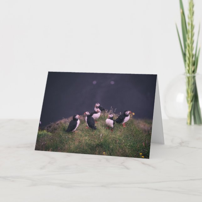 Tarjeta de felicitación de Atlantic Puffins (Anverso)