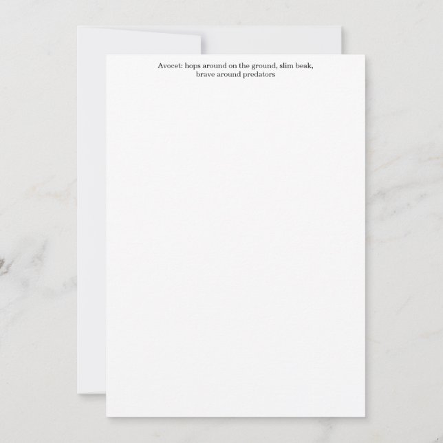 Tarjeta de felicitación de avoceta (Reverso)