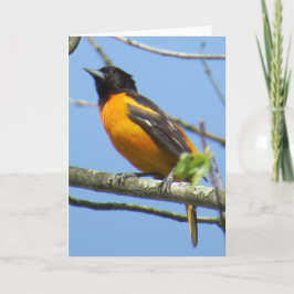 Tarjeta de felicitación de Baltimore Oriole