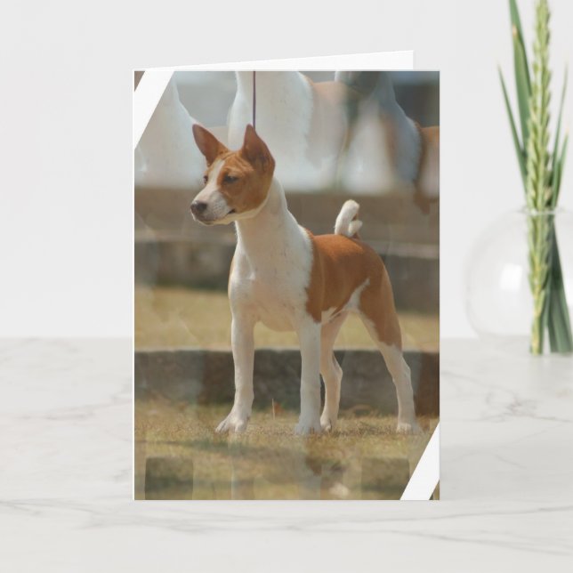Tarjeta de felicitación de Basenji (Anverso)