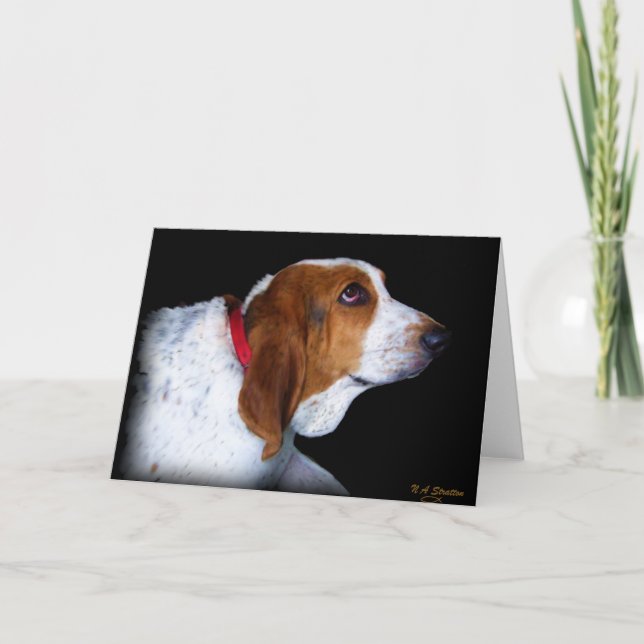 Tarjeta de felicitación de Basset Hound (Anverso)