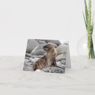 Tarjeta de felicitación de bebé de lobo marino
