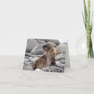 Tarjeta de felicitación de bebé de lobo marino