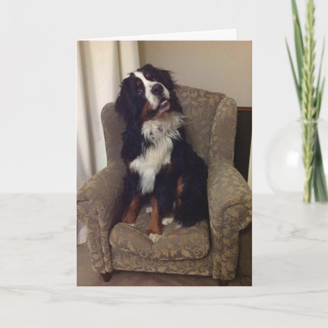 Tarjeta de felicitación de Berner Nation (Anverso)