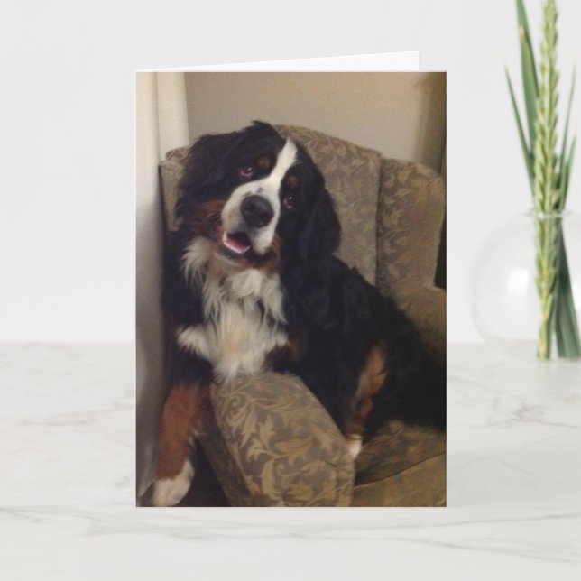 Tarjeta de felicitación de Berner Nation (Anverso)