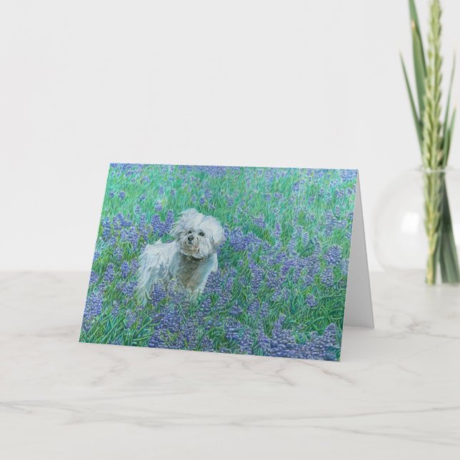 Tarjeta de felicitación de Bichon en Bluebonnets (Anverso)