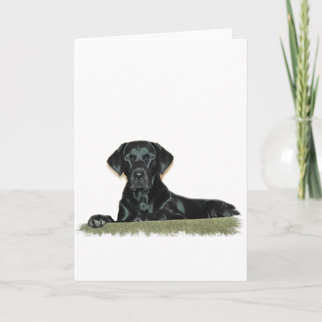Tarjeta de felicitación de Black Lab (Anverso)