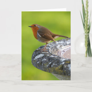 Tarjeta de felicitación de Boss de la yarda