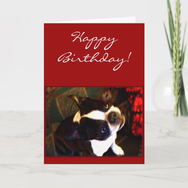 Tarjeta de felicitación de Boston Terrier del (Anverso)