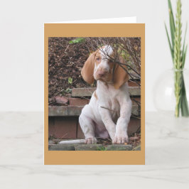 Tarjeta de felicitación de Bracco Italiano