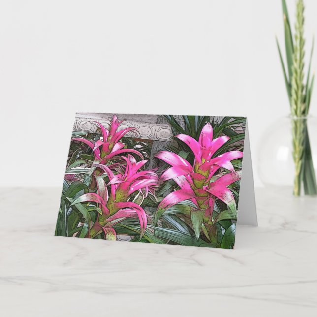 Tarjeta de felicitación de Bromeliad (Anverso)