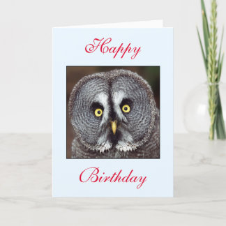 Tarjeta de felicitación de búho de cumpleaños
