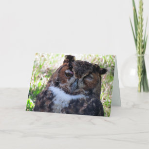 Tarjeta de felicitación de Búho Silly