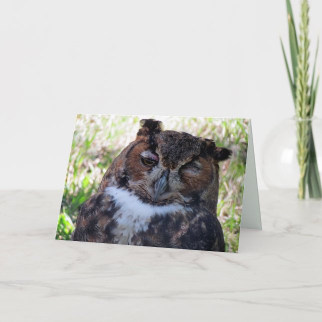 Tarjeta de felicitación de Búho Silly (Anverso)