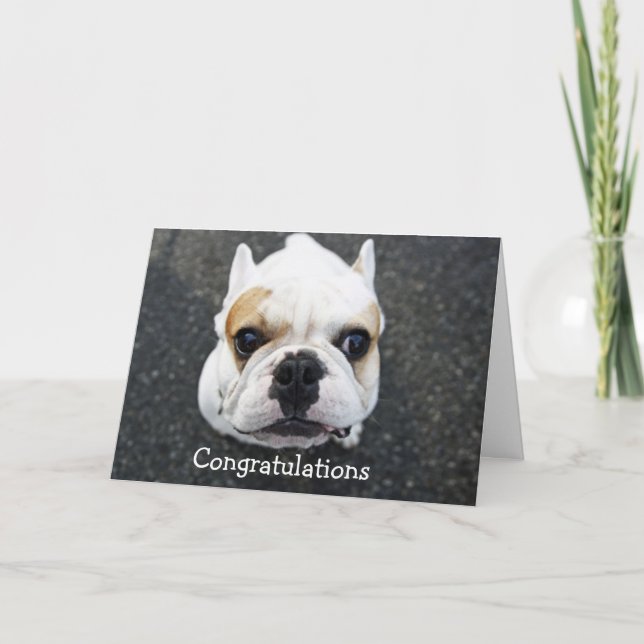 Tarjeta de felicitación de Bulldog (Anverso)