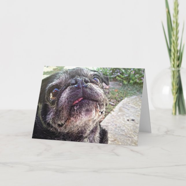 Tarjeta de felicitación de Bumblesnot: Mirada para (Anverso)