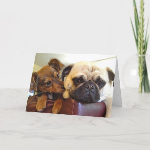 Tarjeta de felicitación de Bumblesnot: Soy aquí si