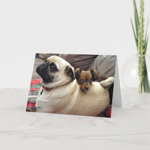 Tarjeta de felicitación de Bumblesnot: ¡Tengo su