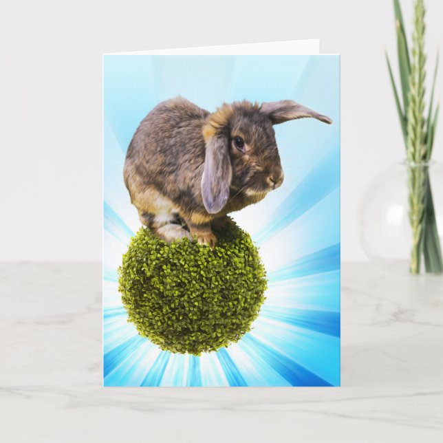 Tarjeta de felicitación de BunnyLuv que ofrece (Anverso)