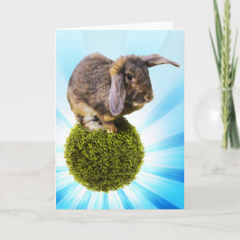Tarjeta de felicitación de BunnyLuv que ofrece