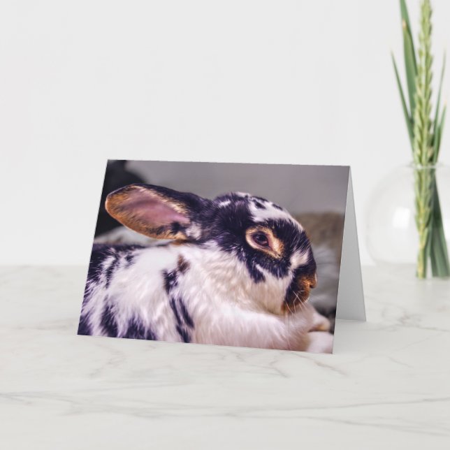 Tarjeta de felicitación de BunnyLuv que ofrece (Anverso)
