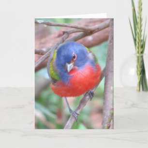 Tarjeta de felicitación de Bunting