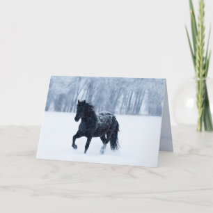 Tarjeta de felicitación de caballo negro en la nie