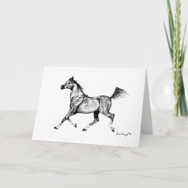 Tarjeta de felicitación de caballos árabe en blanc (Anverso)