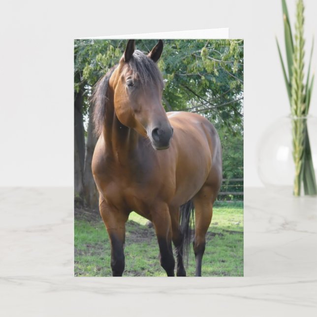 Tarjeta de felicitación de caballos Bay Thoroughbr (Anverso)