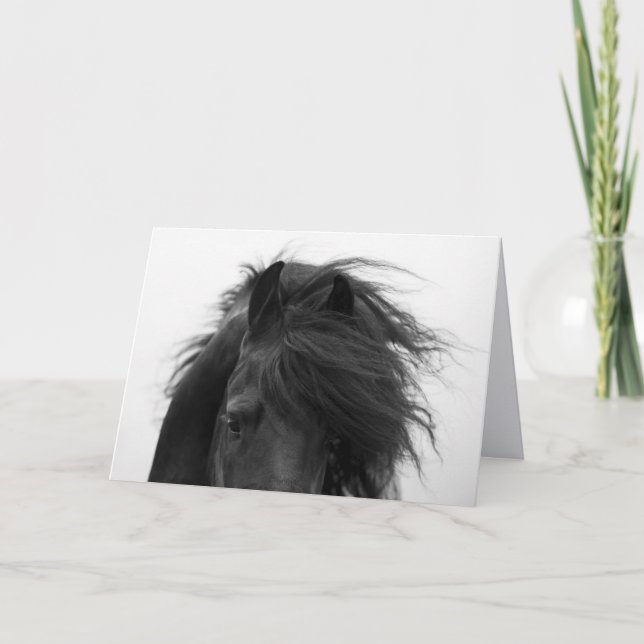 Tarjeta de felicitación de caballos de Frisia (Anverso)