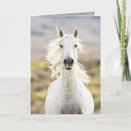 Tarjeta de felicitación de caballos salvajes con l