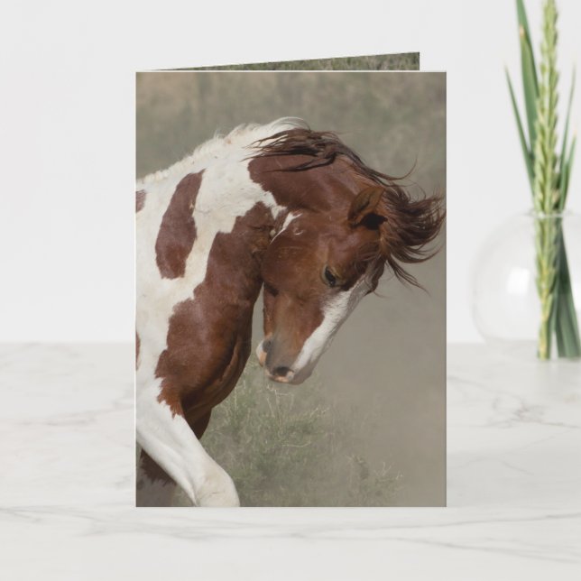 Tarjeta de felicitación de caballos salvajes de Ap (Anverso)