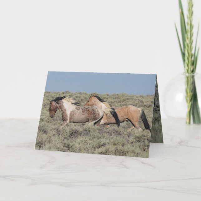 Tarjeta de felicitación de caballos salvajes Dos S (Anverso)