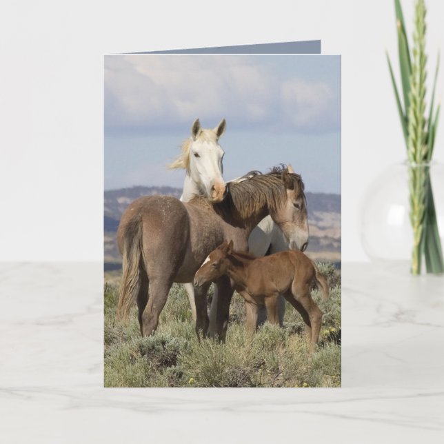 Tarjeta de felicitación de caballos salvajes para  (Anverso)