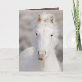 Tarjeta de felicitación de caballos salvajes Snow 