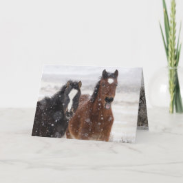 Tarjeta de felicitación de caballos salvajes Snow 