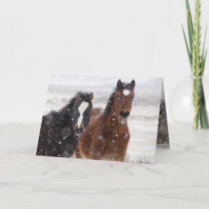 Tarjeta de felicitación de caballos salvajes Snow 