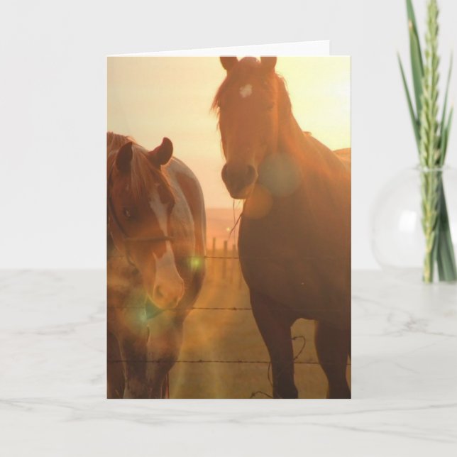 Tarjeta de felicitación de caballos Sunset (Anverso)