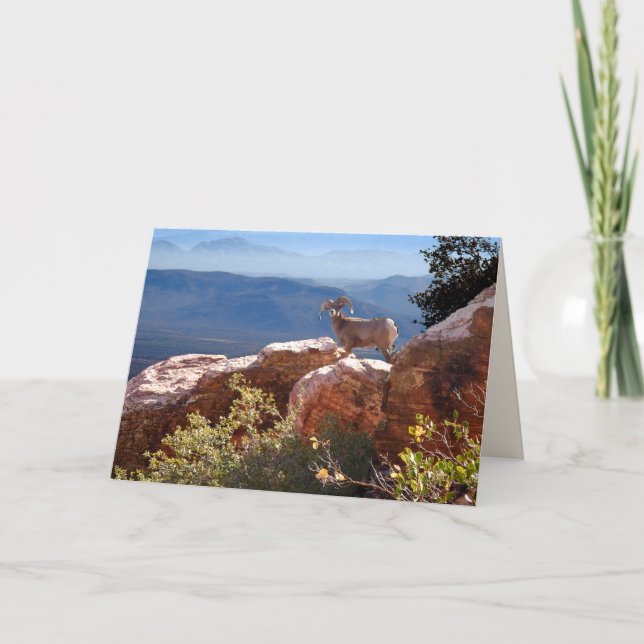Tarjeta de felicitación de cabra de montaña (Anverso)